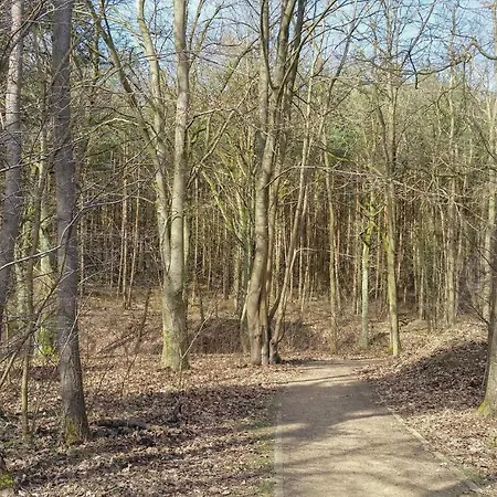 Reetdachhaus 14 Auf Usedom * Kutzow